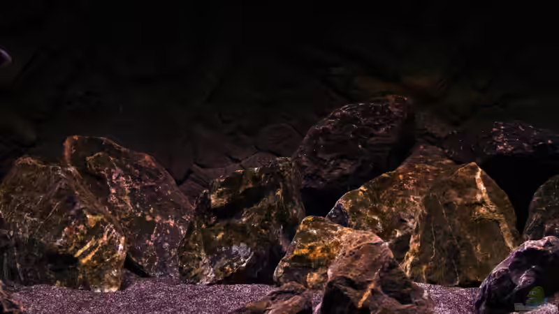 Beckenmitte von die Perle... (6)