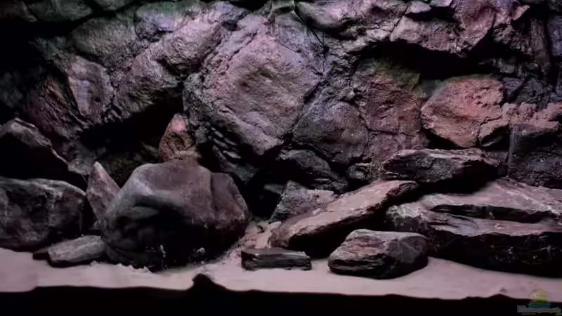 Beckenmitte von Koehler (20)