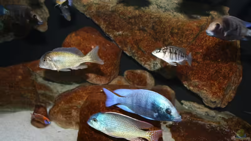 Beckenmitte von Malte (3)