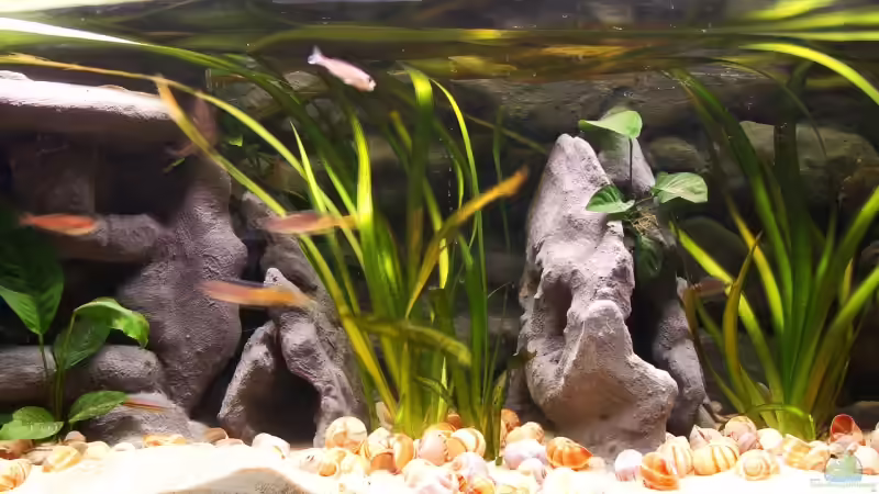 Beckenmitte von Miriam (4)