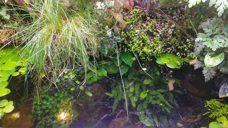 Beckenmitte von oben von Tino Georgi (3)