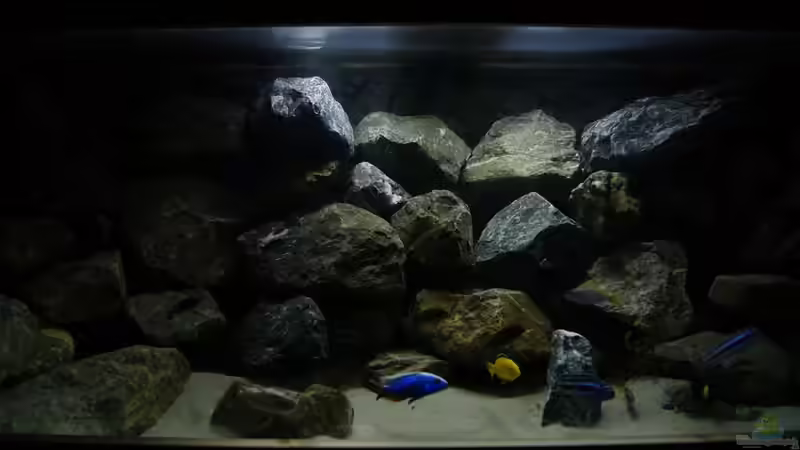 Beckenmitte von Poybuna (2)