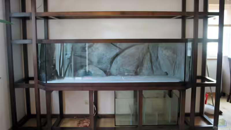 Beckenregal von Schlock (4)