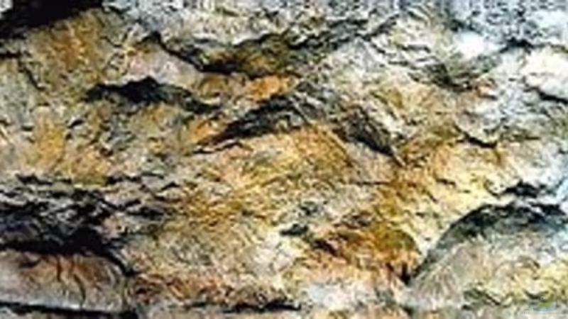 Beckenrückwand von Thomas Szöts (5)