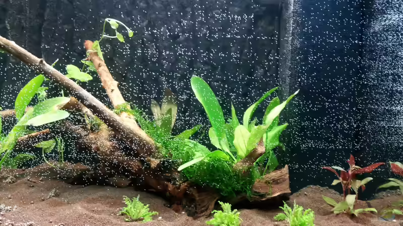 Beckenstart - Februar 2012 von SleazeRocker (3)