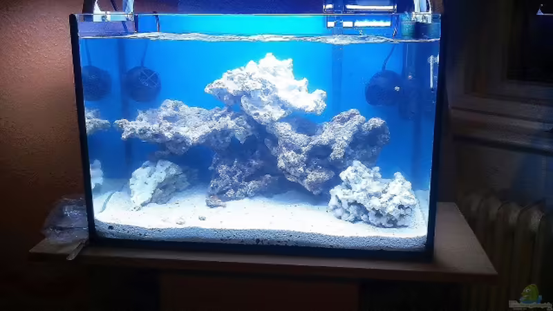 Beckenstart am 07.12.2011 von Andreas Fleischer (2)