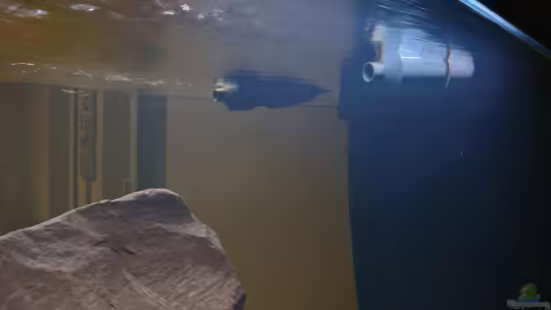 Beckenzulauf / Düsen von Tim Gleichmann (10)