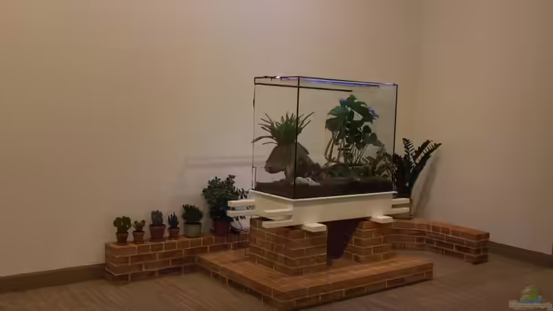 Bedeutung der Terraristik für den Artenschutz