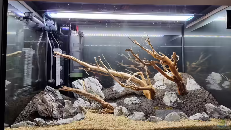 Bedeutung des goldenen Schnitts bei der Aquariumgestaltung