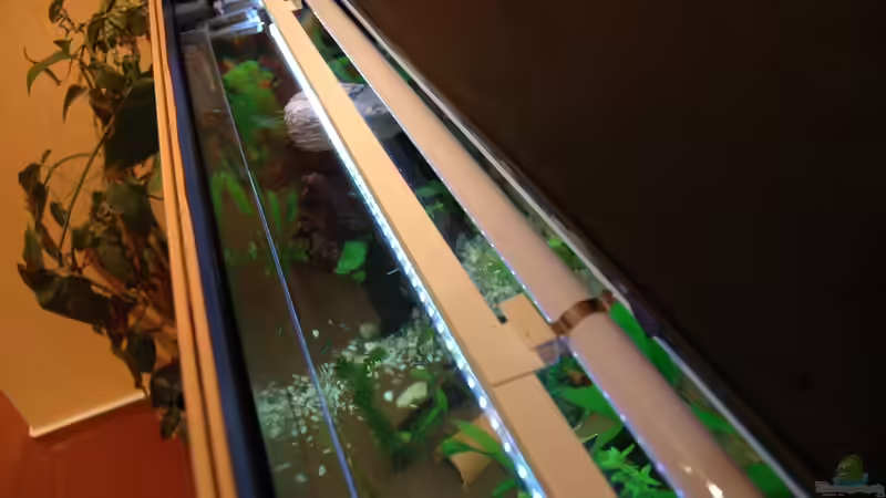 Befestigung der LED-Beleuchtung an den vorhandenen T8 - Röhren von marciii1985 (14)