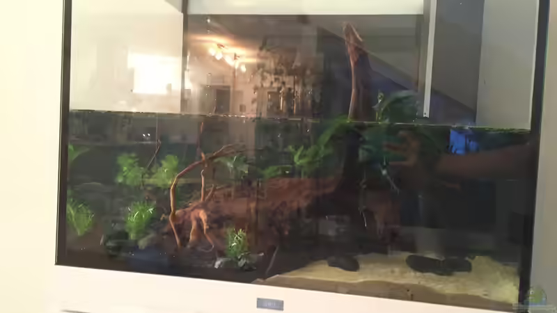 Befüllen von moehriam (16)