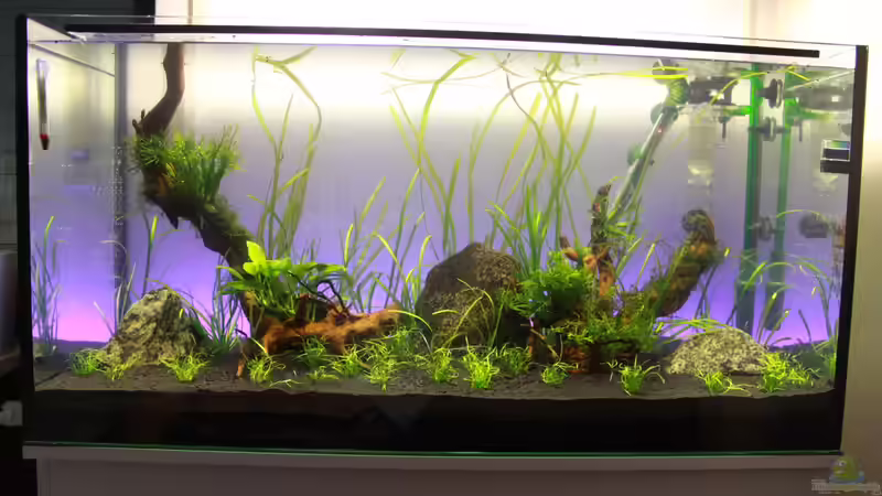 Befüllt und LED an von AquarienHans (4)