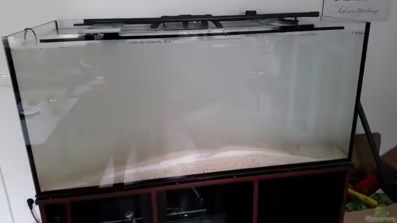 Befüllung, organische Trübung durch Livesand von Tim1979 (21)