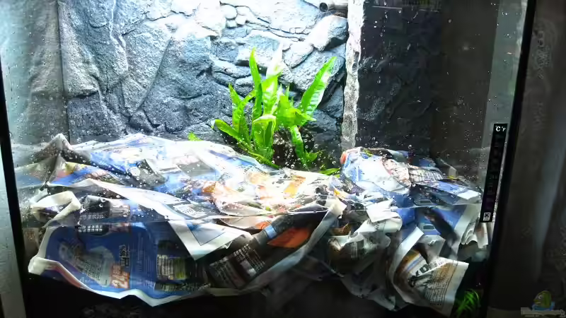 Befüllung am 24.12.2010 von Sergio10 (8)