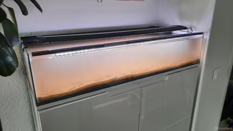 Befüllung mit Kies und Wasser am 17.6.22 von Berlin42 (8)