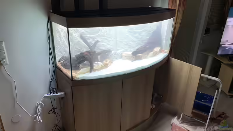 Befüllung und Dichtheitsprobe von Donelli (4)