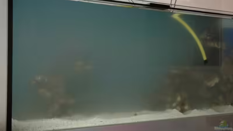 Befüllung von Christian Fenzel (3)