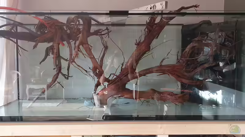 Befüllung von Steven Tumma (4)