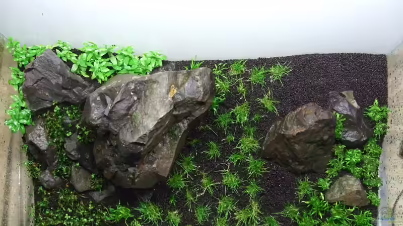 Beginn der Dry-Start Methode von Micha... (5)