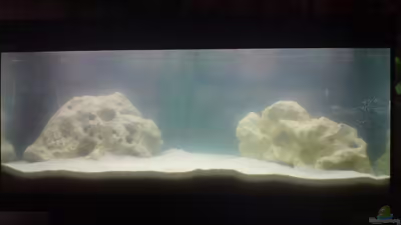 Beginn der Einfahrt noch ohne Pflanzen. Die Trübung ist vom aufgewirbelten Sand von Lars Sielaff (2)