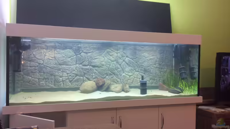 Beginn der Einrichtung von delphin (3)