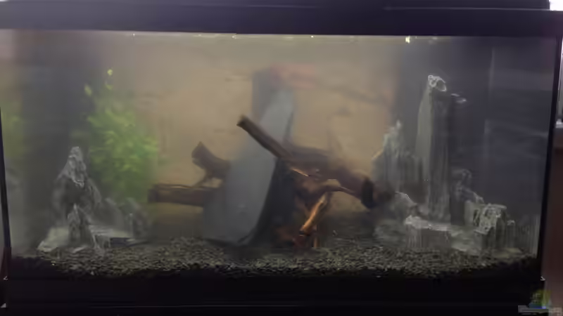 Beginn des Einrichtens von Große-Blubbel-Kleine-Blubbel (2)