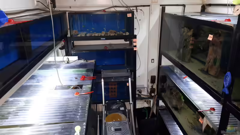 BEGINN NEUBAU: ALTE ZUCHTANLAGE 5000 Ltr. wurde ausgebaut von 8 CBM (22)