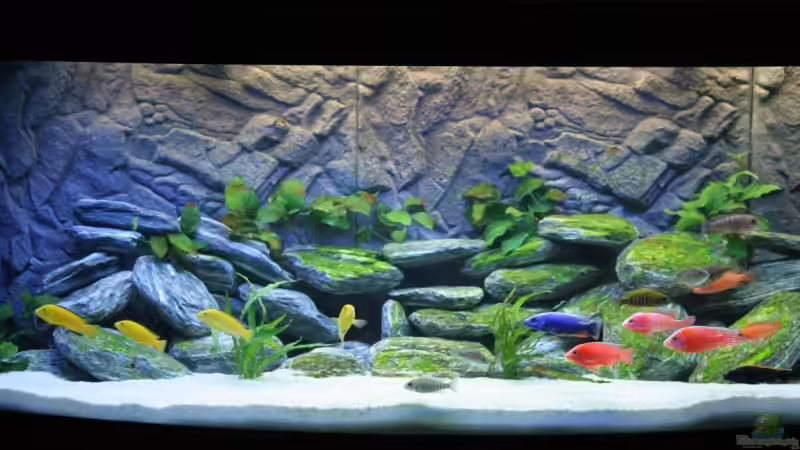 Beginn Sonnenuntergang von Klaus Fischer (3)