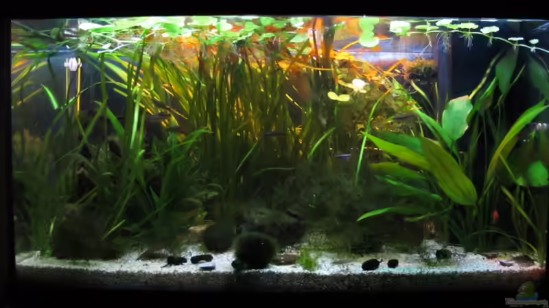 Beginn Sonnenuntergang von Stefan Peter (7)