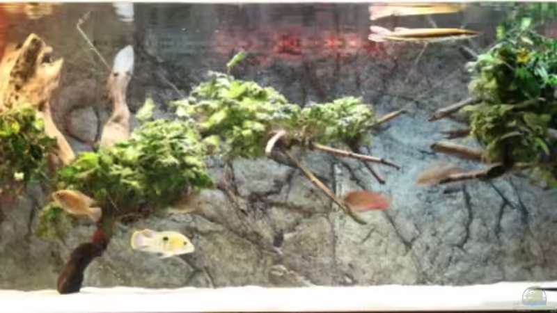 beginnender Sonnenuntergang von AlexDhc (3)