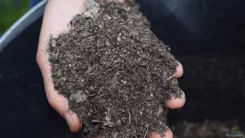 Begriffe erkärt: Was ist Bokashi?