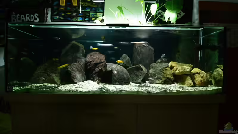 Begriffe erklärt: Was ist das Litoral?