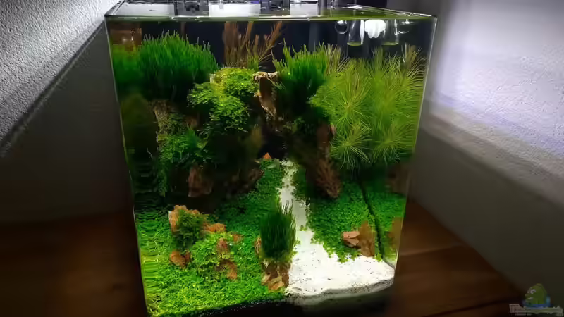 Begriffe erklärt: Was ist der Dutch-Style?