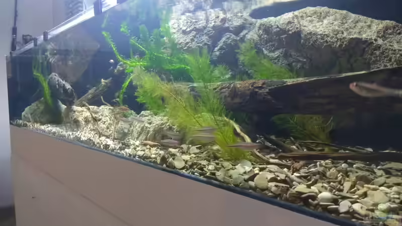 Begriffe erklärt: Was ist ein Rivarium?