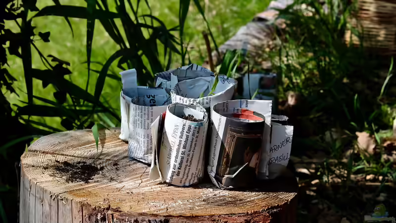 Begriffe erklärt: Was verseht man unter Permakultur?