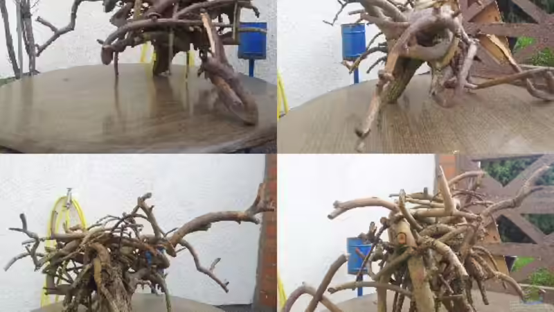 Begutachtung und Begeisterung :) von Michael Scheffler (26)