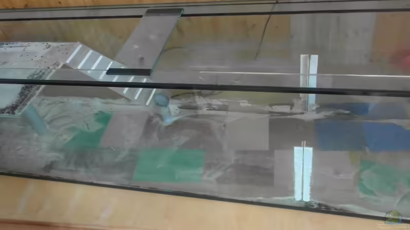 Bei Abholung von Noah (2)