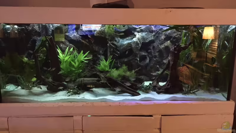 Bei Dämmerung von Basti@ (14)