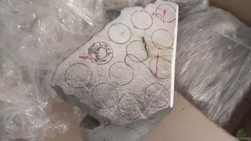 bei den Kreisen wird der Silikon aufgebracht, die Zahl gibt die Reihenfolge beim Einbau an, die Pfeile weisen auf die daran anschließenden Elemente hin von pacho (4)