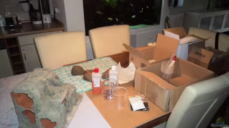 Bei der Arbeit ;-) von Michael Boeck (10)