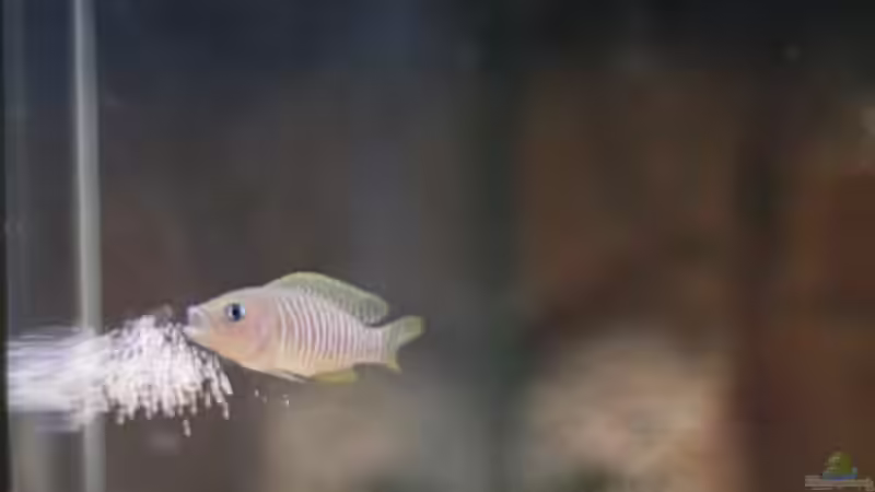 Bei der Arbeit... von Sebastian W. (15)