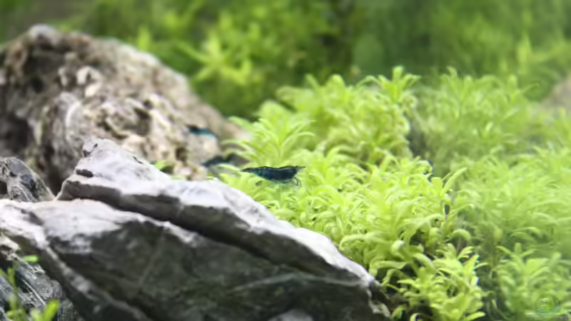 Bei der Arbeit von X-Rayminator (36)