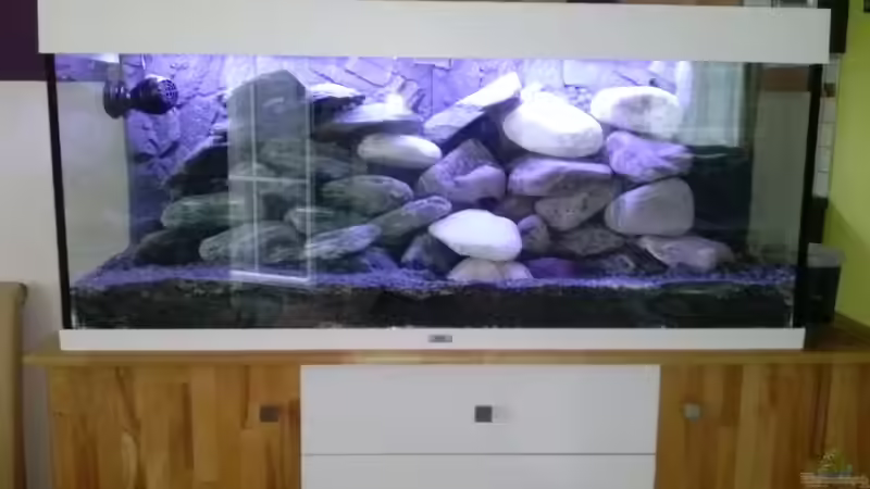 Bei der Einrichtung.. von Malawi-Anfänger (2)