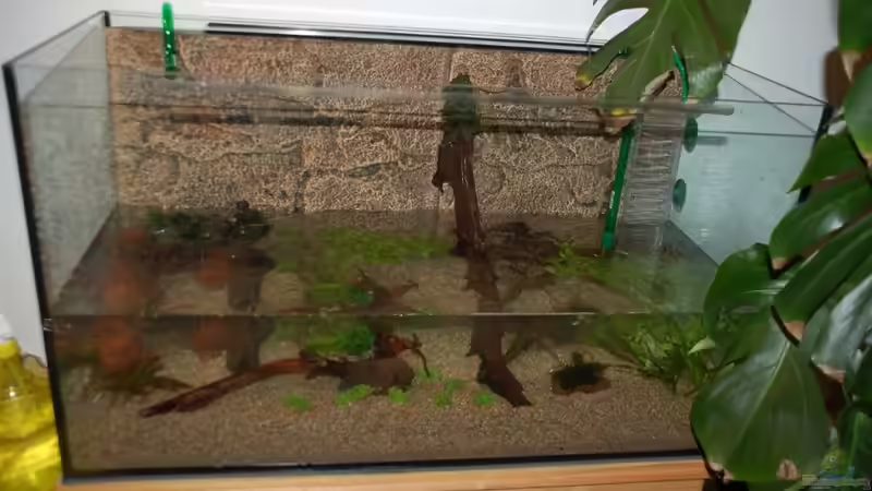 Bei der Einrichtung II von Voyagerz (3)