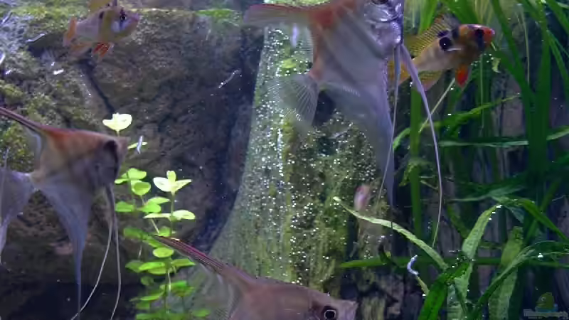 bei der Fütterung  von Dirk72 (12)