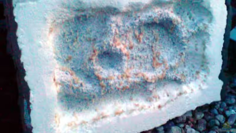 Bei der großen Wand habe ich hinten in der Mitte das Styropor geschmolzen, damit von timme (33)