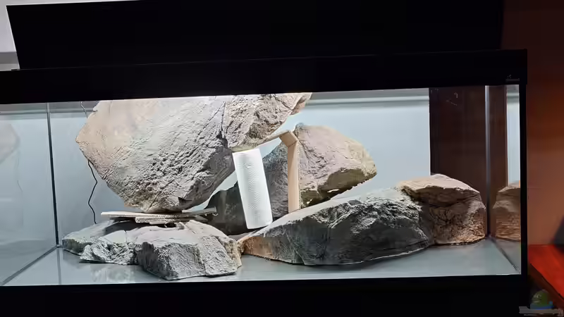 Bei der Vorbereitung von Leucki (13)