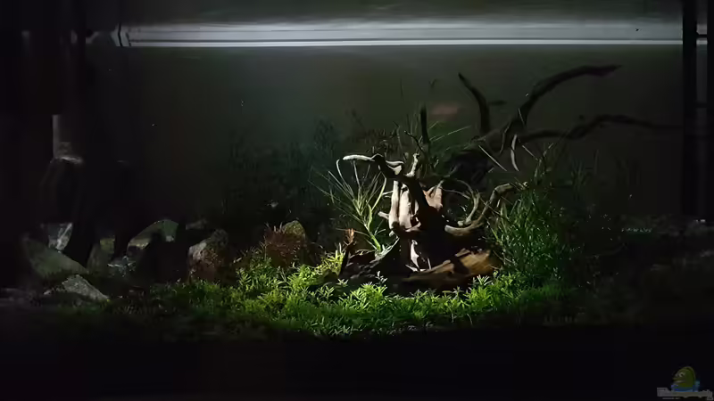 Bei Dunkelheit von Glidezilla (2)