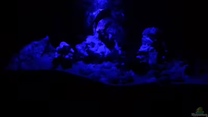 Bei Mondlicht von Daniel Kastner (8)