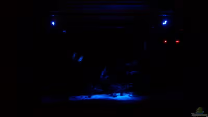 Bei Mondlicht wird nur der mittlere Bereich beleuchtet, der rote Punkt ist die Heizung von Stefan Danner (3)